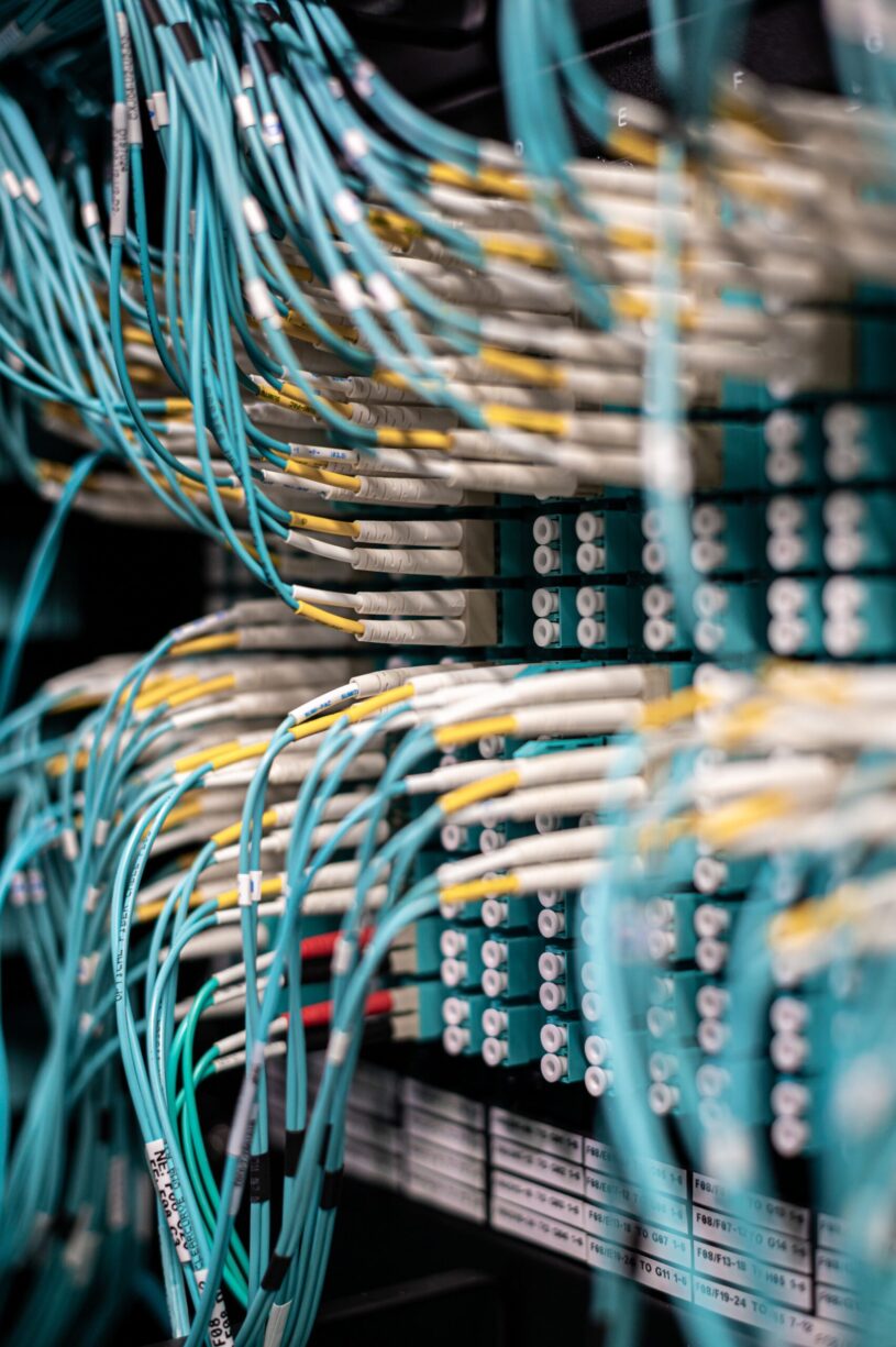 Rows of blue network cables plugged into a server patch panel in a data center